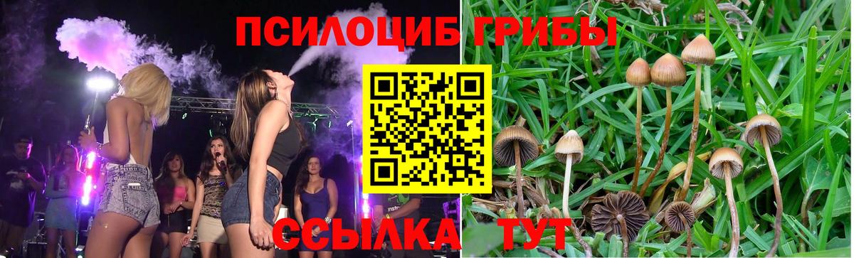Псилоцибиновые грибы мицелий Усинск